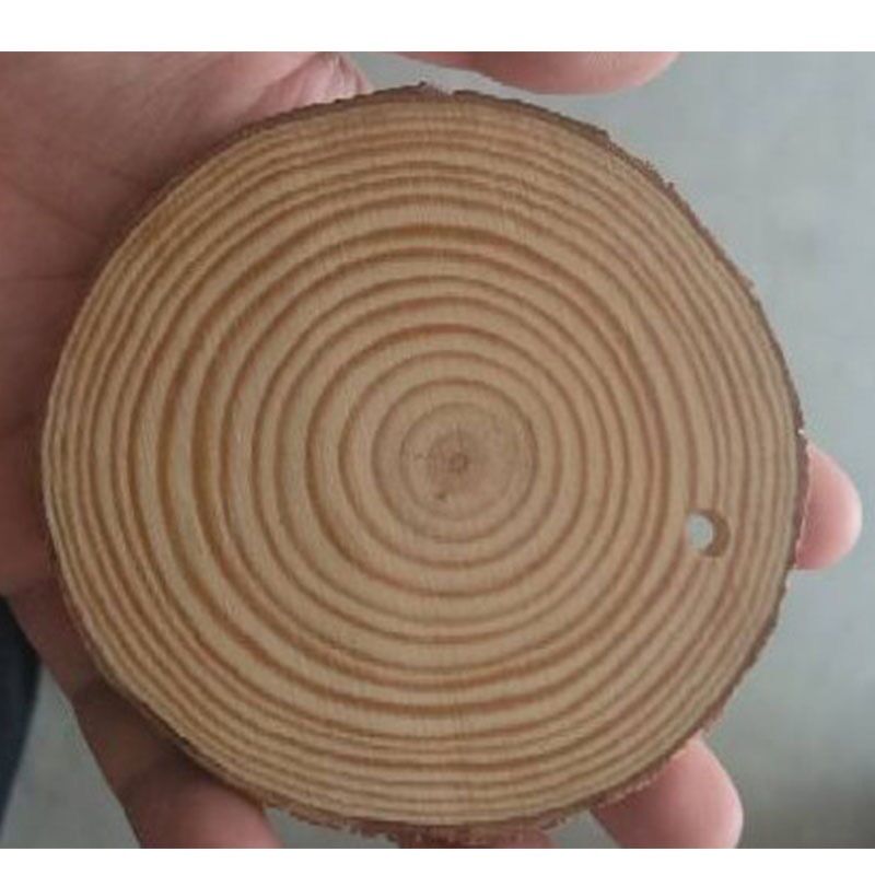 Lát gỗ thông dùng trang trí decor phòng