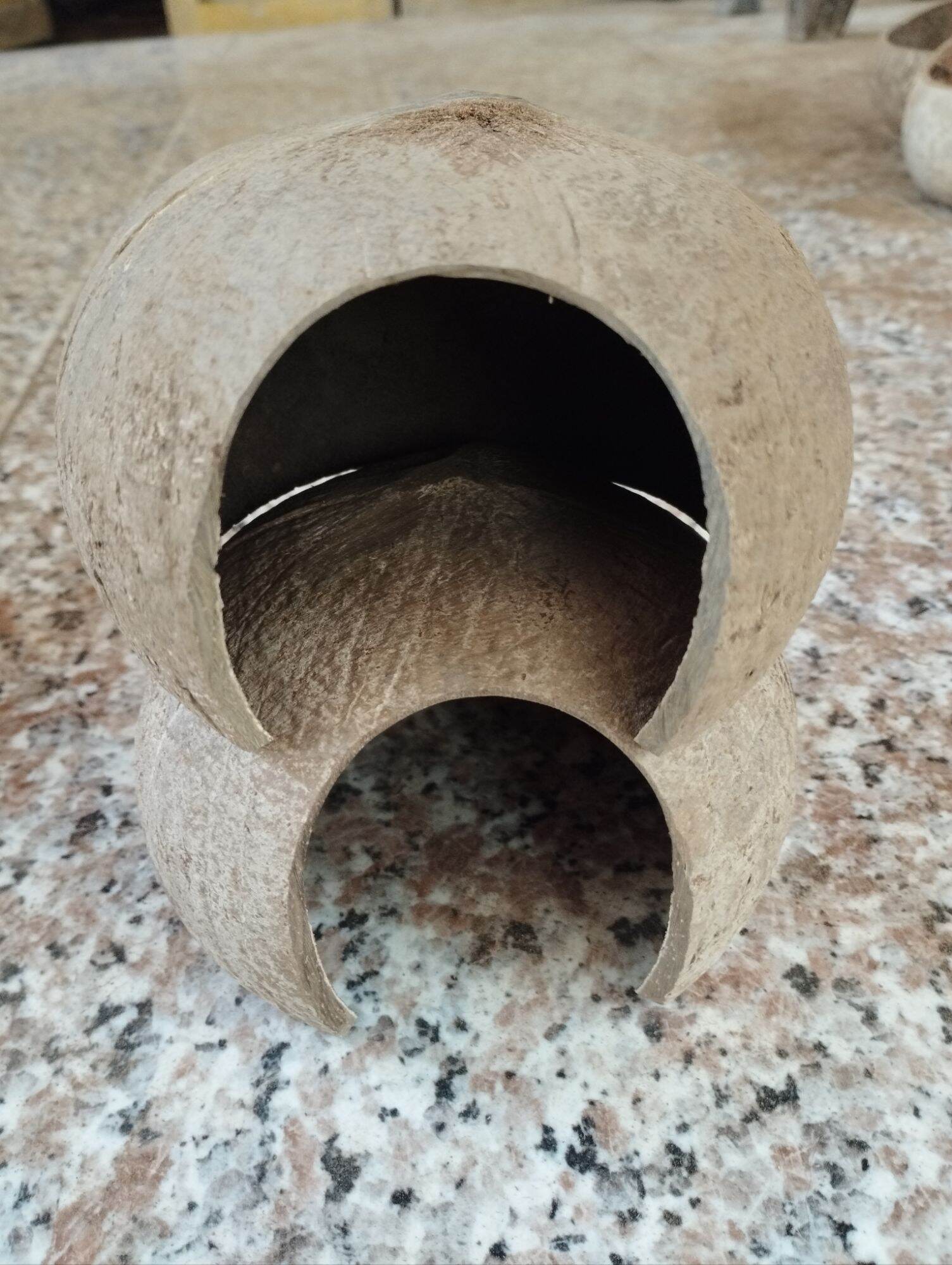 Nhà Bọ Hang Cá Nhà Ốc trang trí bằng gáo dừa
