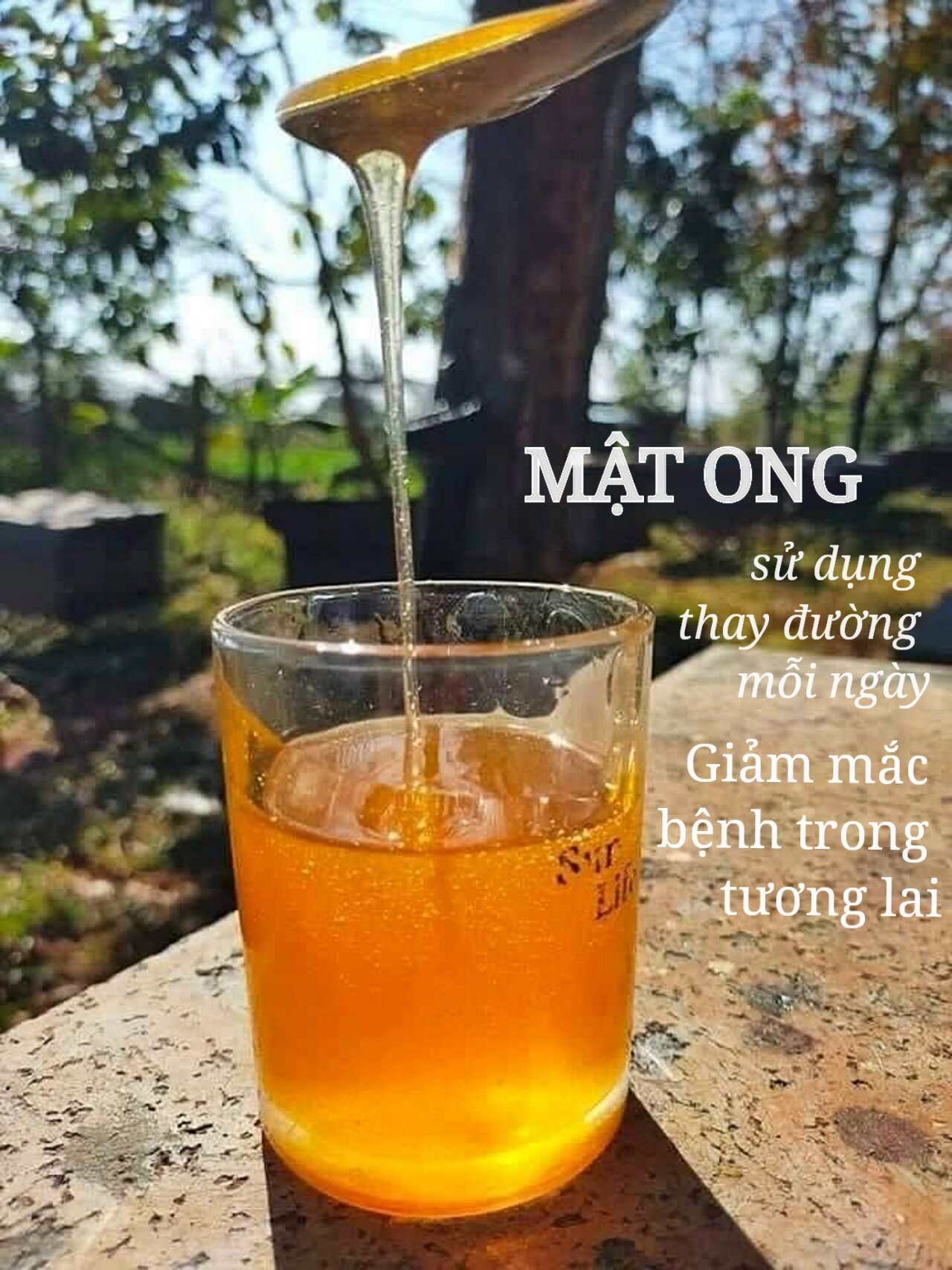2 lít mật ong hoa cà phê đắk lắk