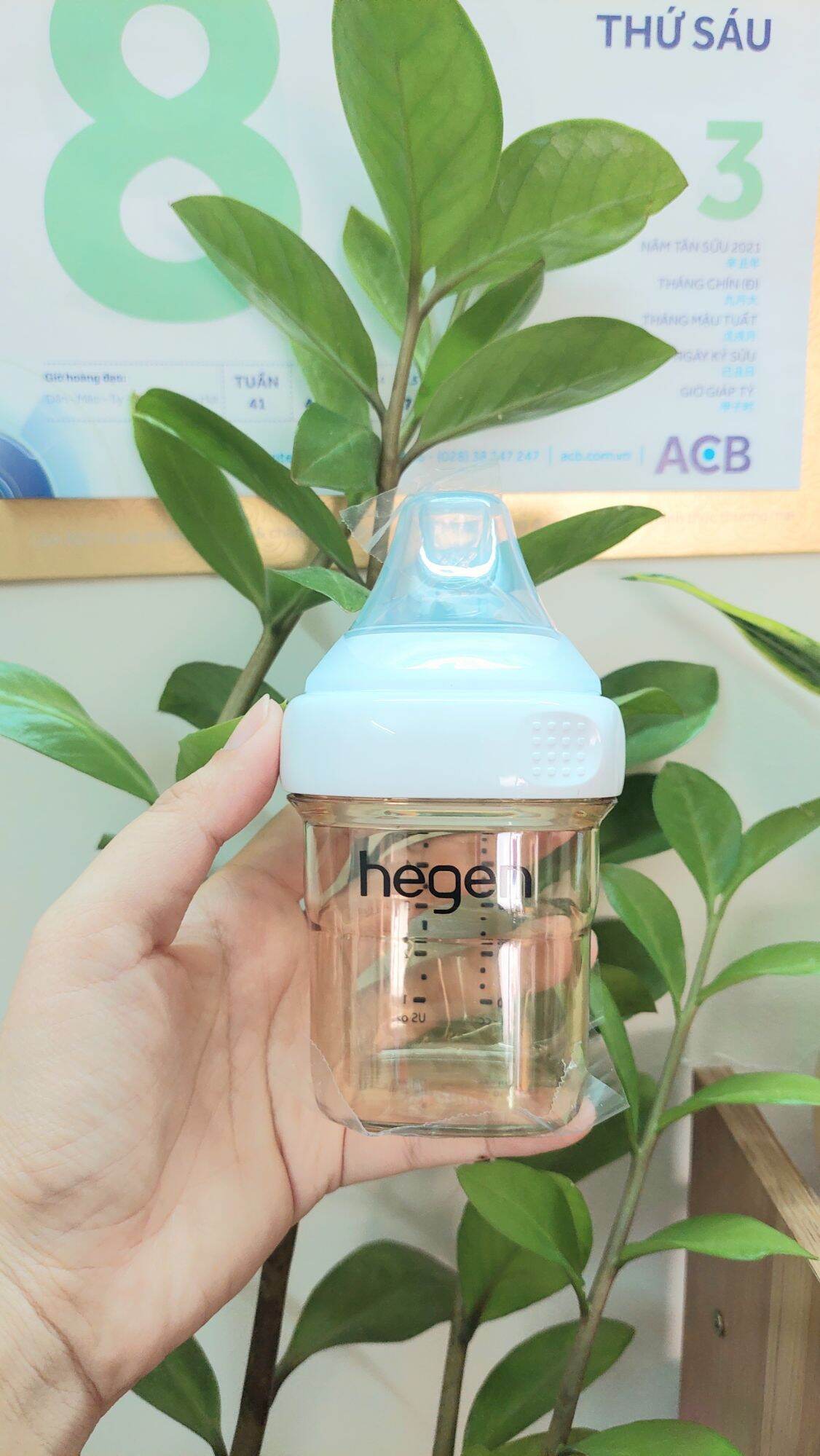 Bình sữa Hegen 150ml cho bé ( Full hộp kèm núm)