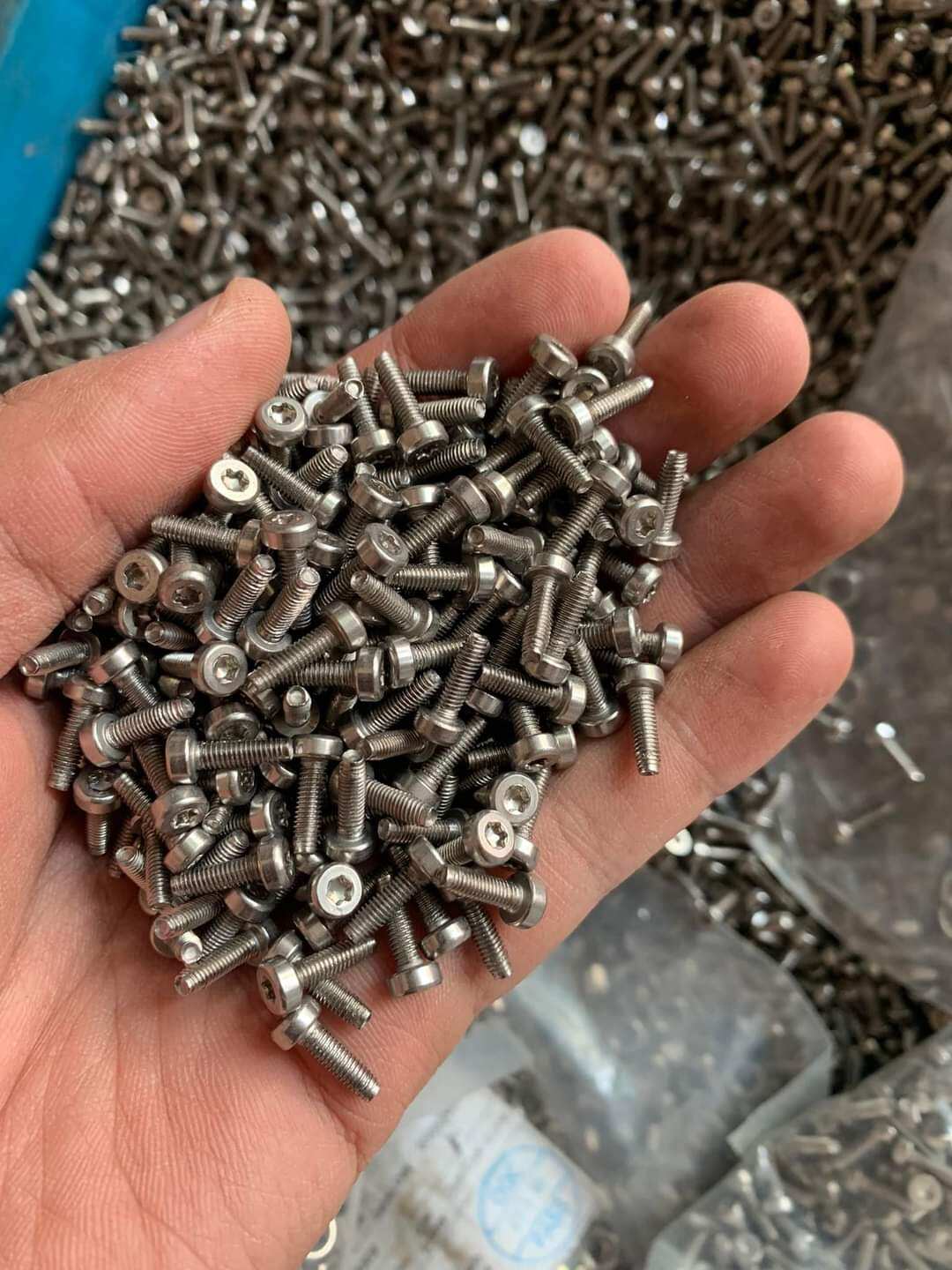 Túi 500 vít hoa thị m3x10mm inox 304
