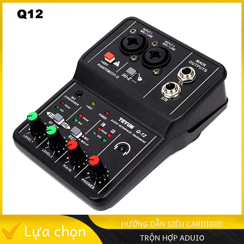 TEYUN Q12 Chuyên Nghiệp 2 Kênh Di Động Giao Diện Âm Thanh Mini USB Phối Cho Đàn Guitar Phòng Thu Âm Hát Hát Với Card Âm Thanh Tay Cầm