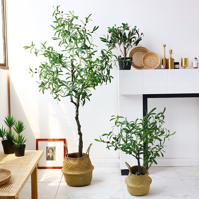 Cây giả cao cấp - cây oliu giả (size 85cm và 130cm) hằng decor