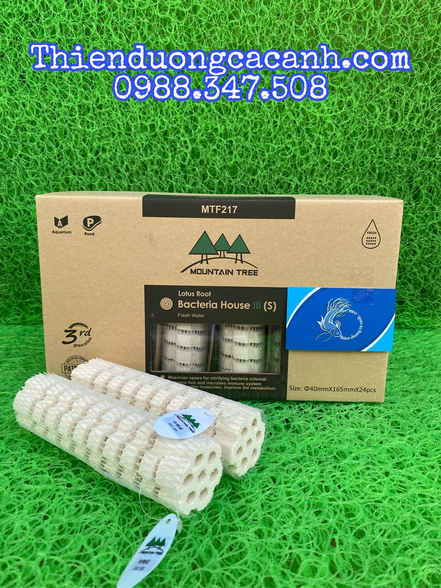 Sứ củ sen moutain tree thế hệ 3 size nhỏ - kích thước 16cmx4cm thùng 24 thanh