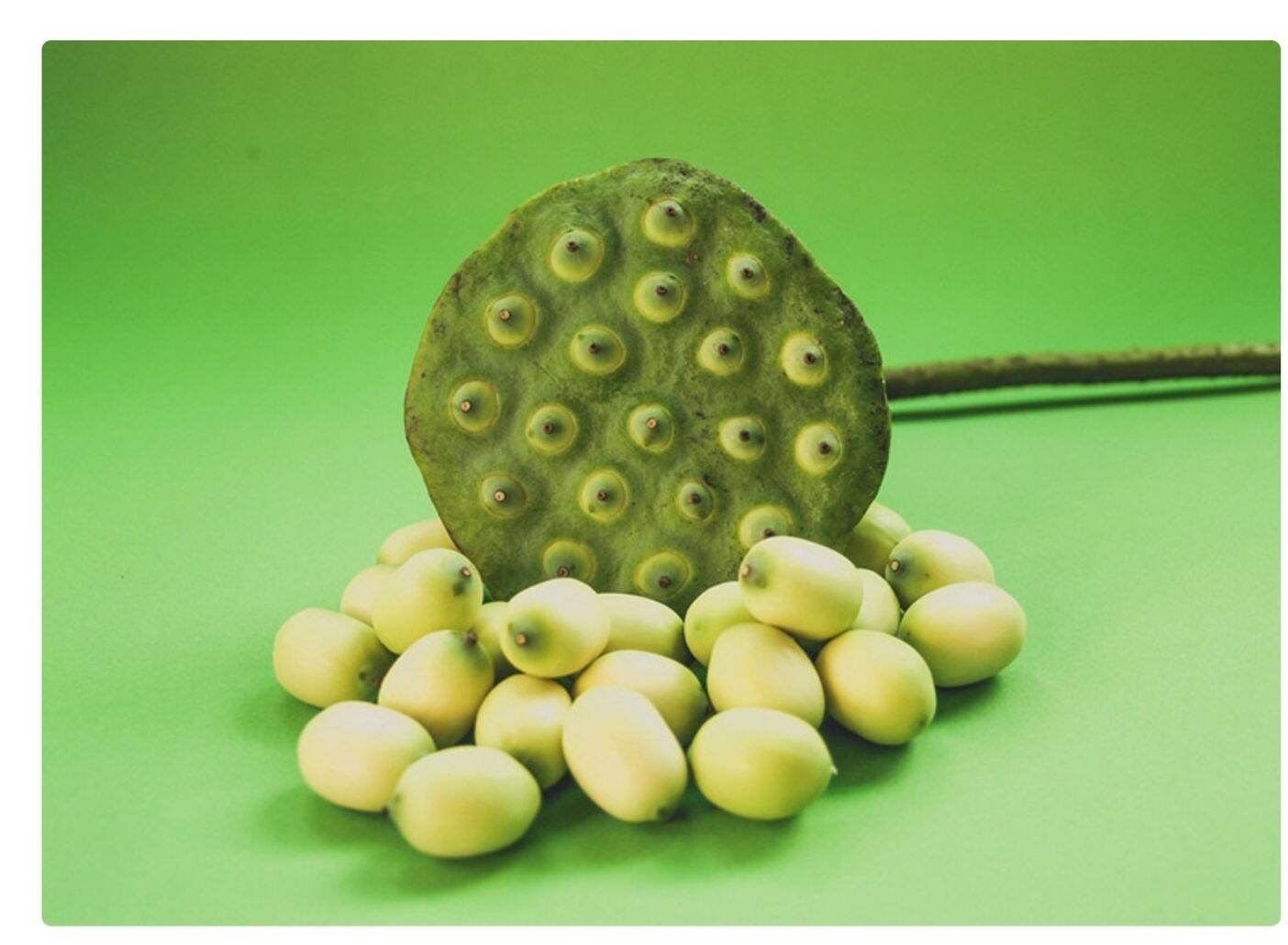 Hạt Sen Tươi Quảng Nam (1kg chưa bóc vỏ)