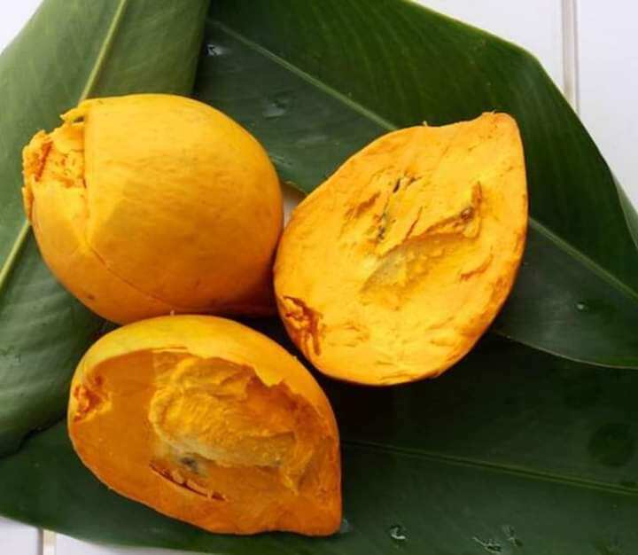 1 kg Quả Lêkima gói rất kỹ trái không bể đâu ạ