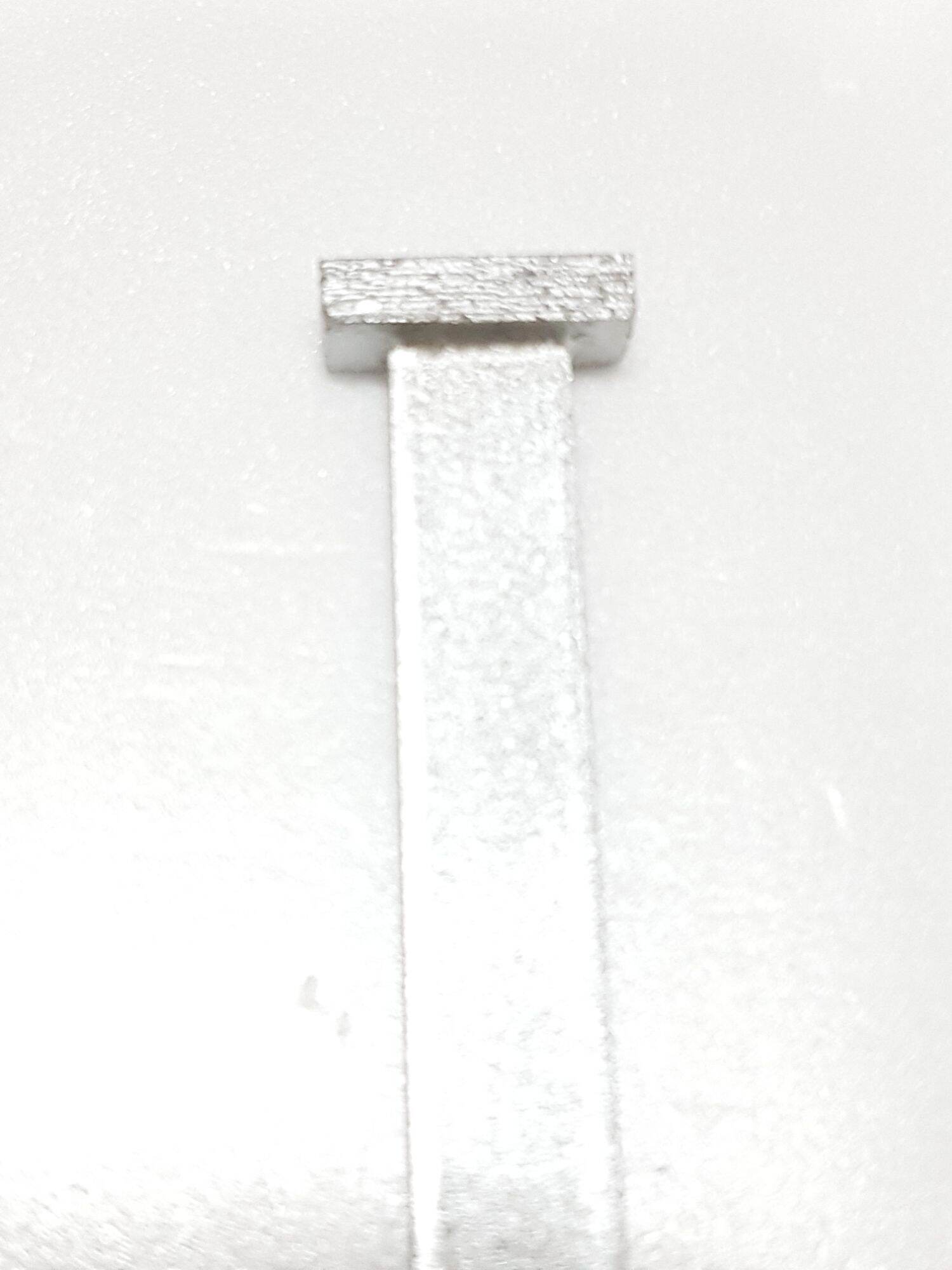[HCM]Cây sửa đá mài x 2.3 cm....