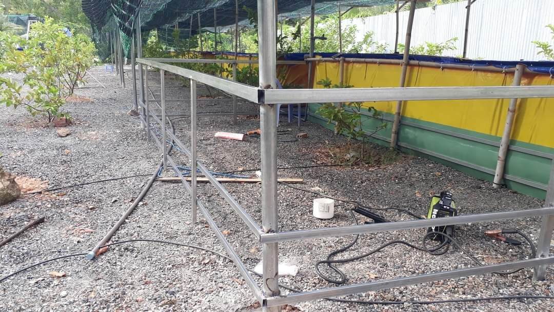 Bể bạt nuôi ốc , ếch , cá , lươn , chạch - 5x2x1 tú phương