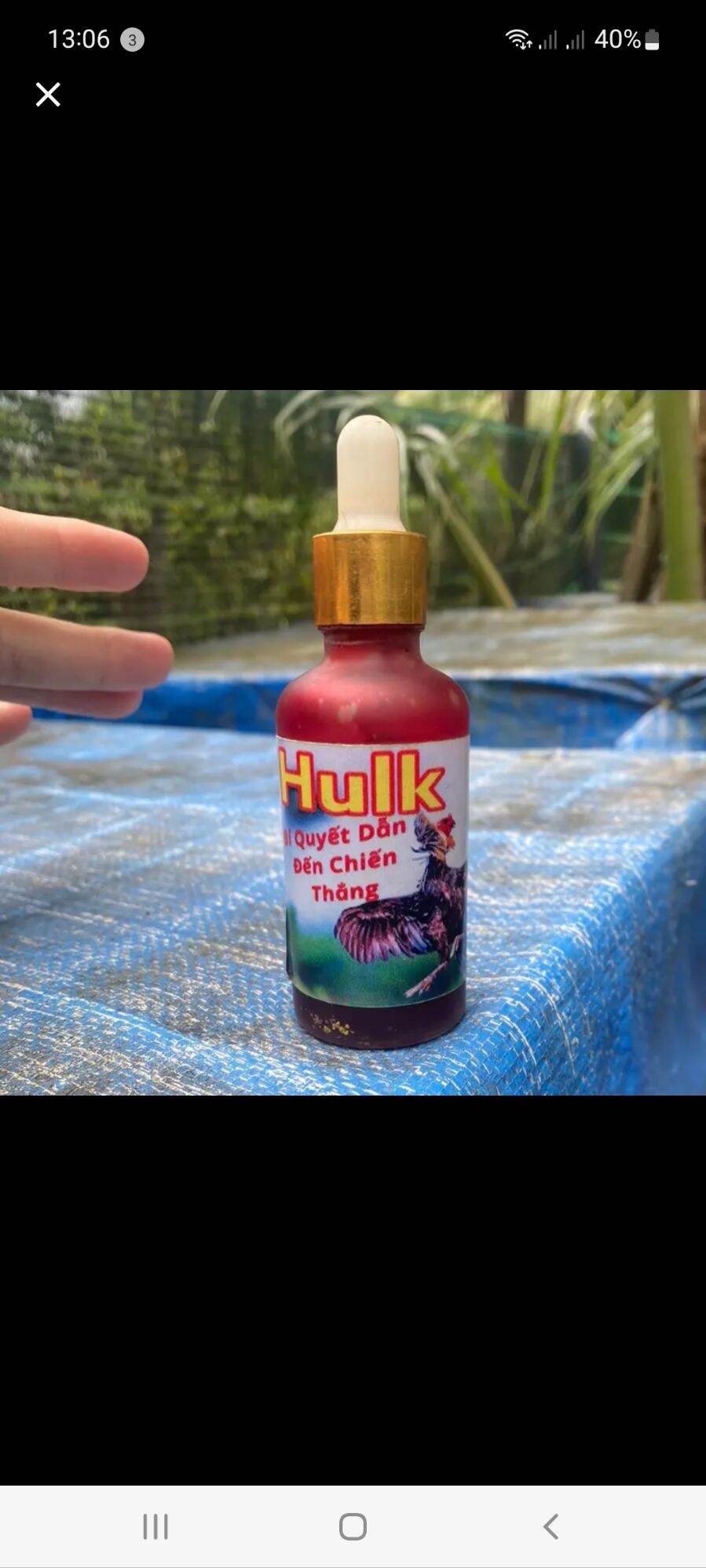 Hulk nuôi gà chế độ tuần cuối đá cho gà