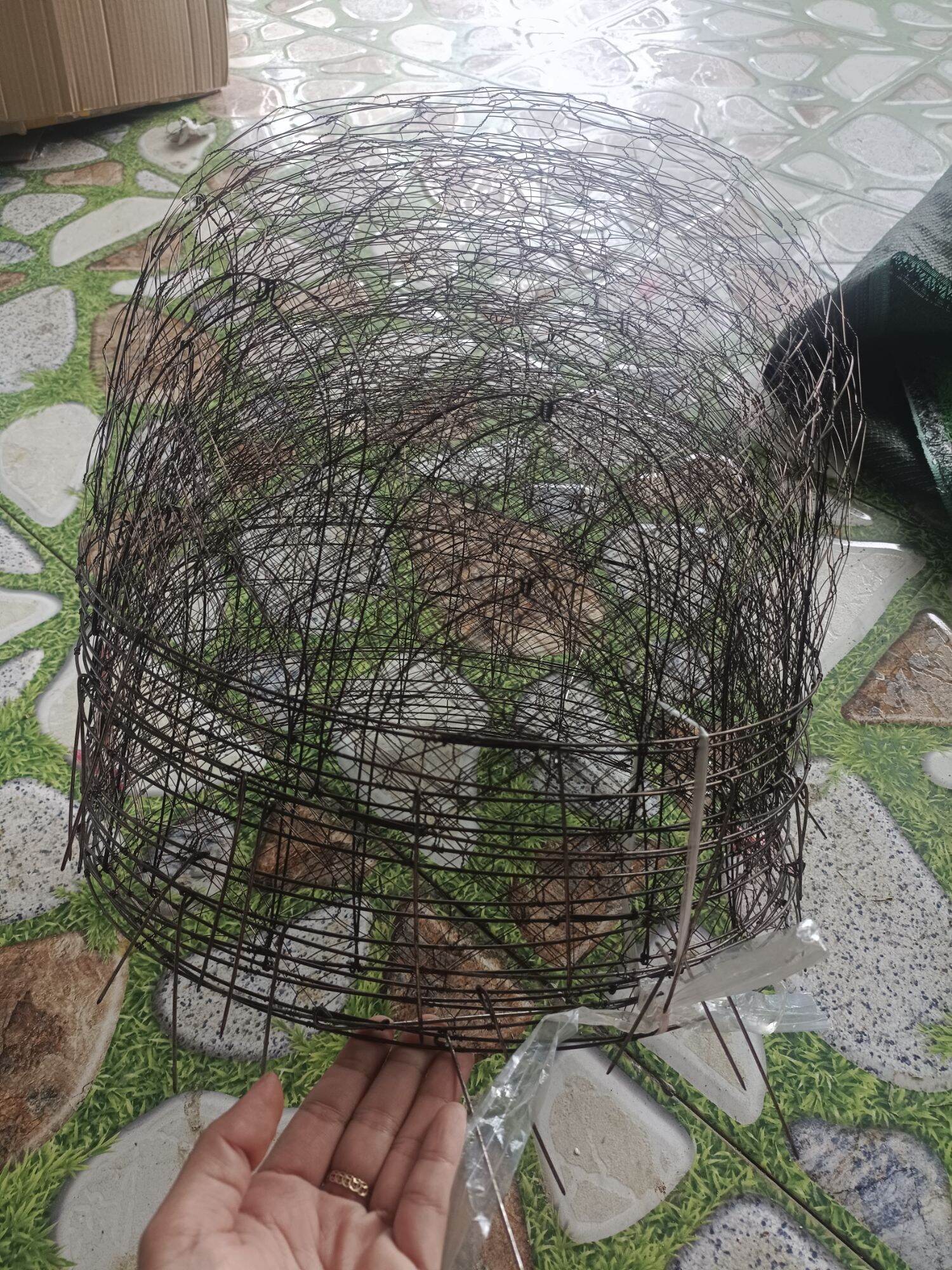Bội úp cu