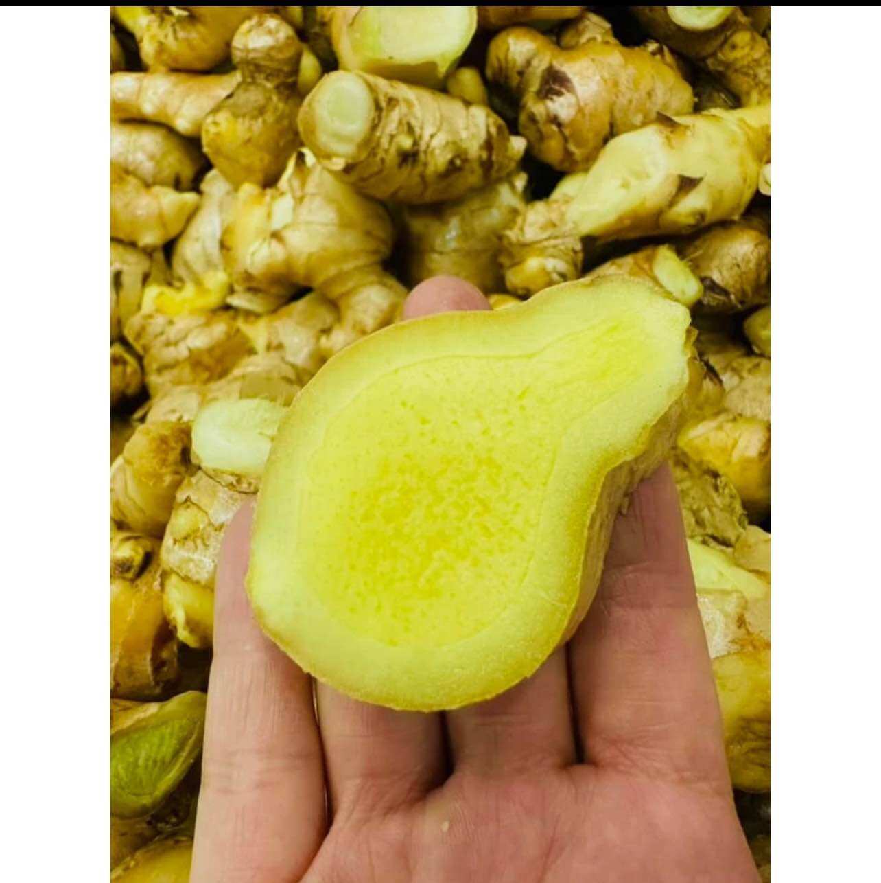 Trà gừng Karose ( date mới nhất)