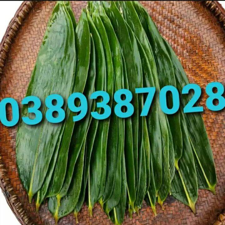 Lá tre khổng lồ 400g tươi