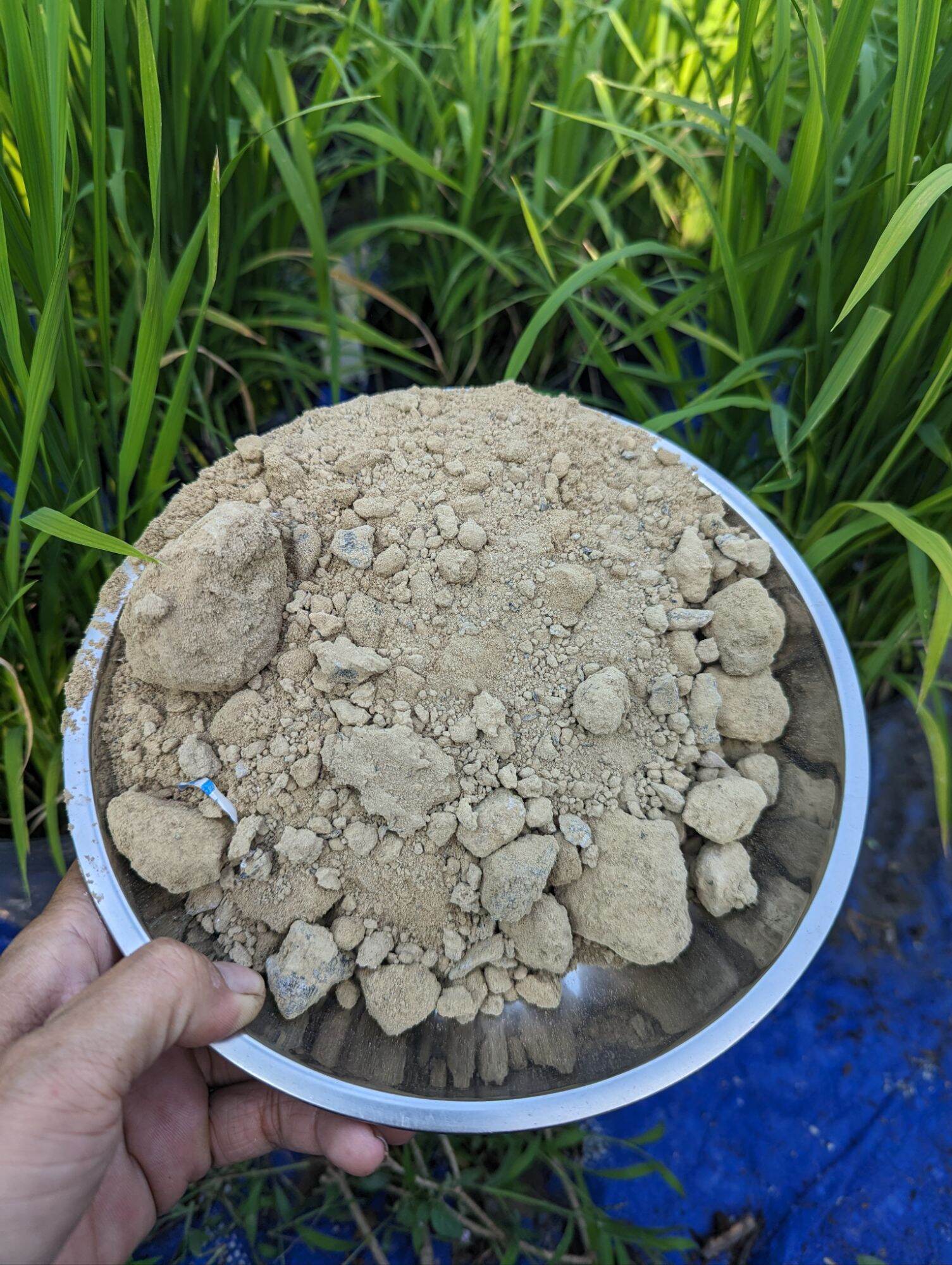 1kg Tro Bếp bón cây cho rau sạch, Phân bón vô cơ