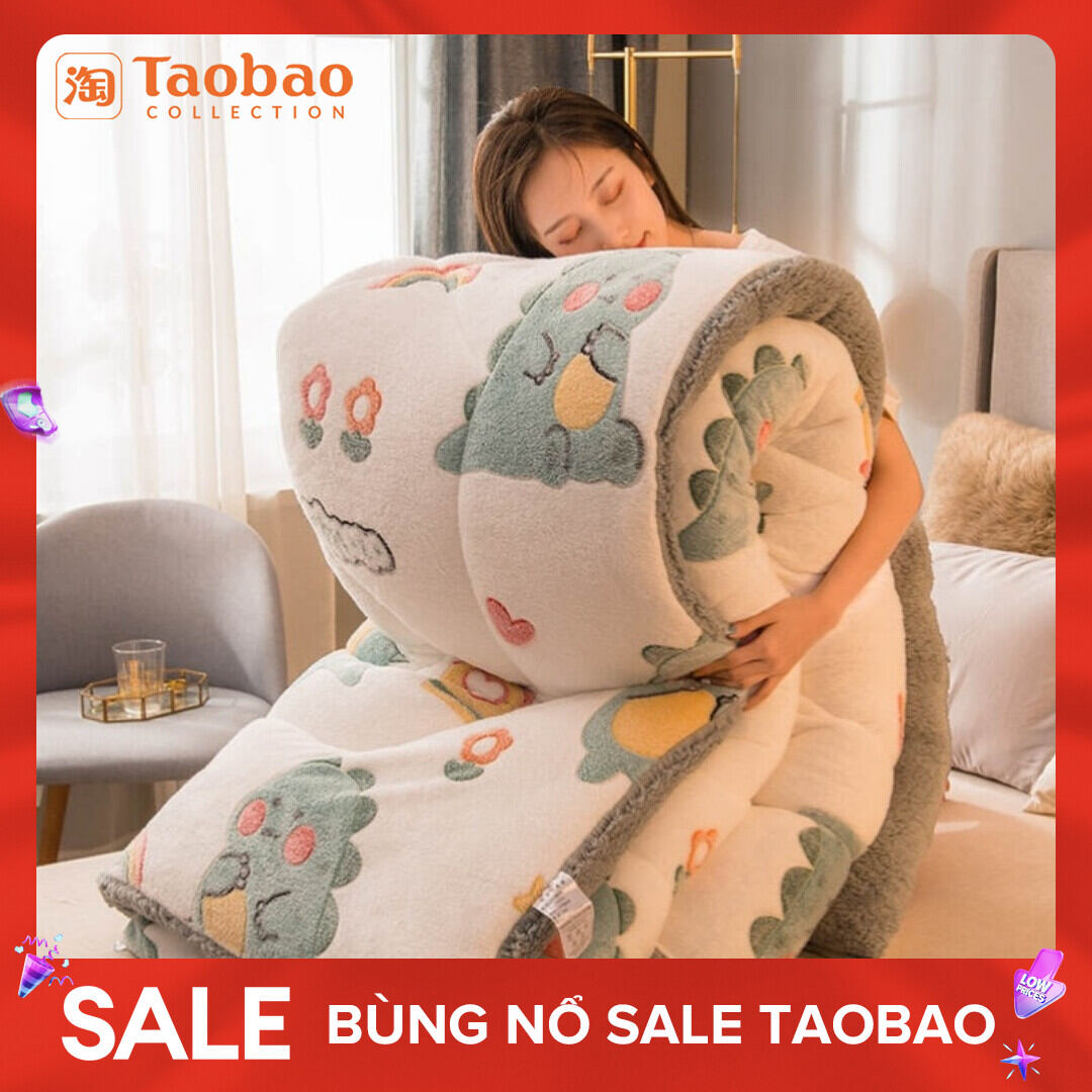 Chăn Lông Cừu Chăn Mùa Đông Nhung San Hô Ký Túc Xá Học Sinh Đơn Đôi Nhung Hai Mặt Kg Nhung Hai Mặt 5Kg Ruột Chăn Nhung Flannel Giữ Ấm