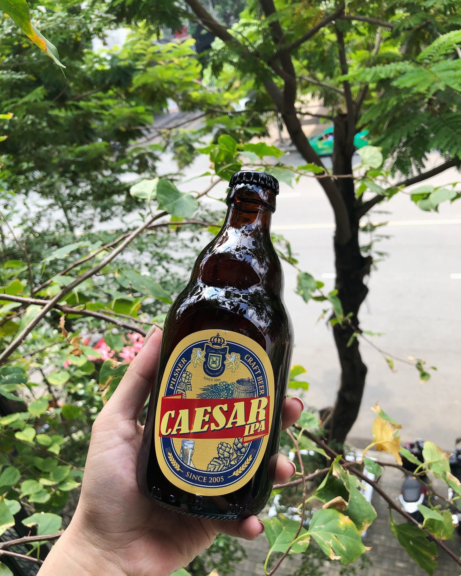 Pack 2 chai Caesar IPA