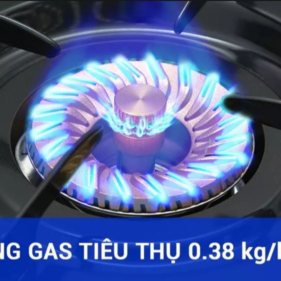 (Hàng chính hãng) Bếp gas đôi để bàn Rinnai-365SW