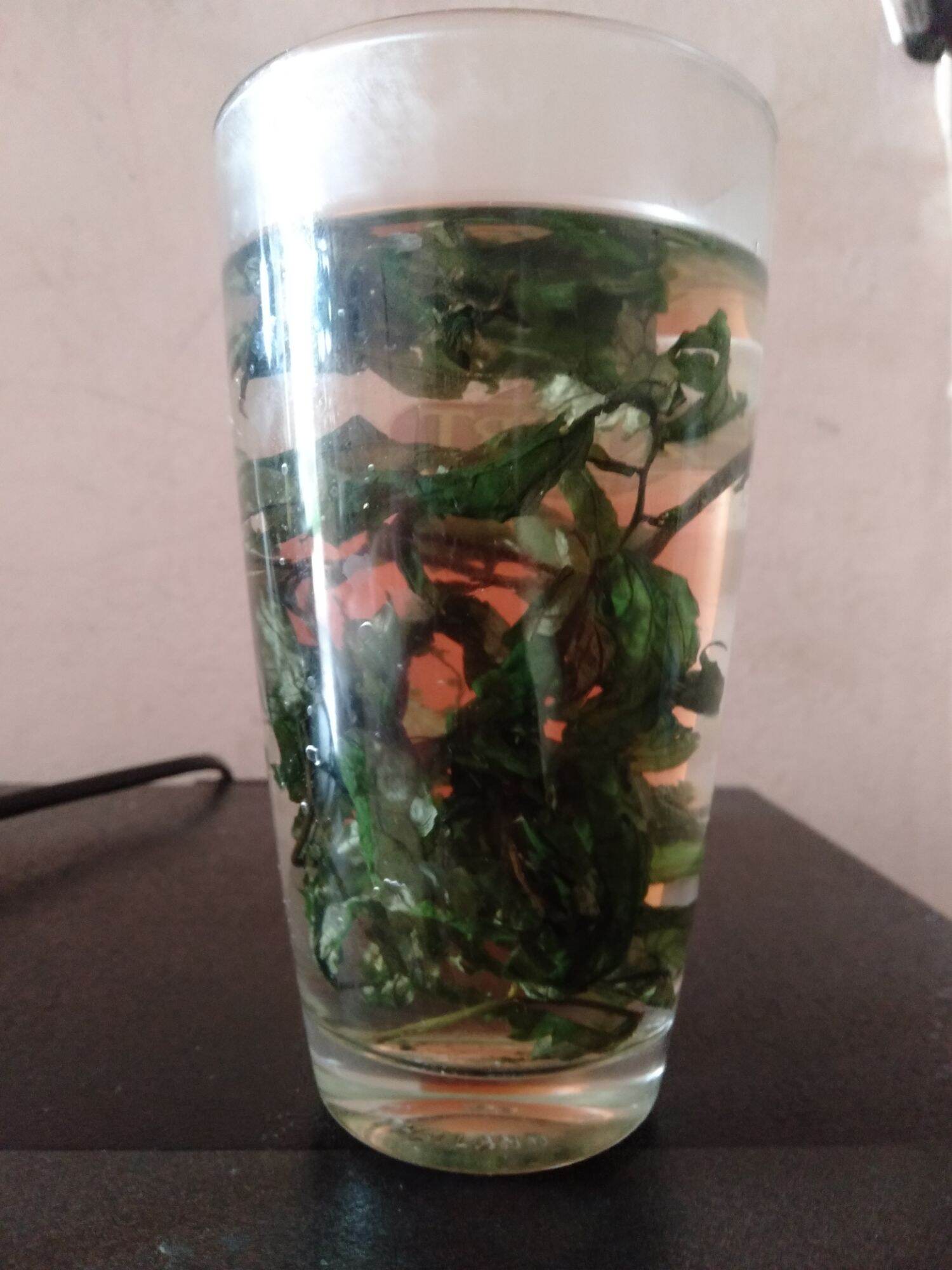 500g lá đắng chuẩn rừng tây bắc