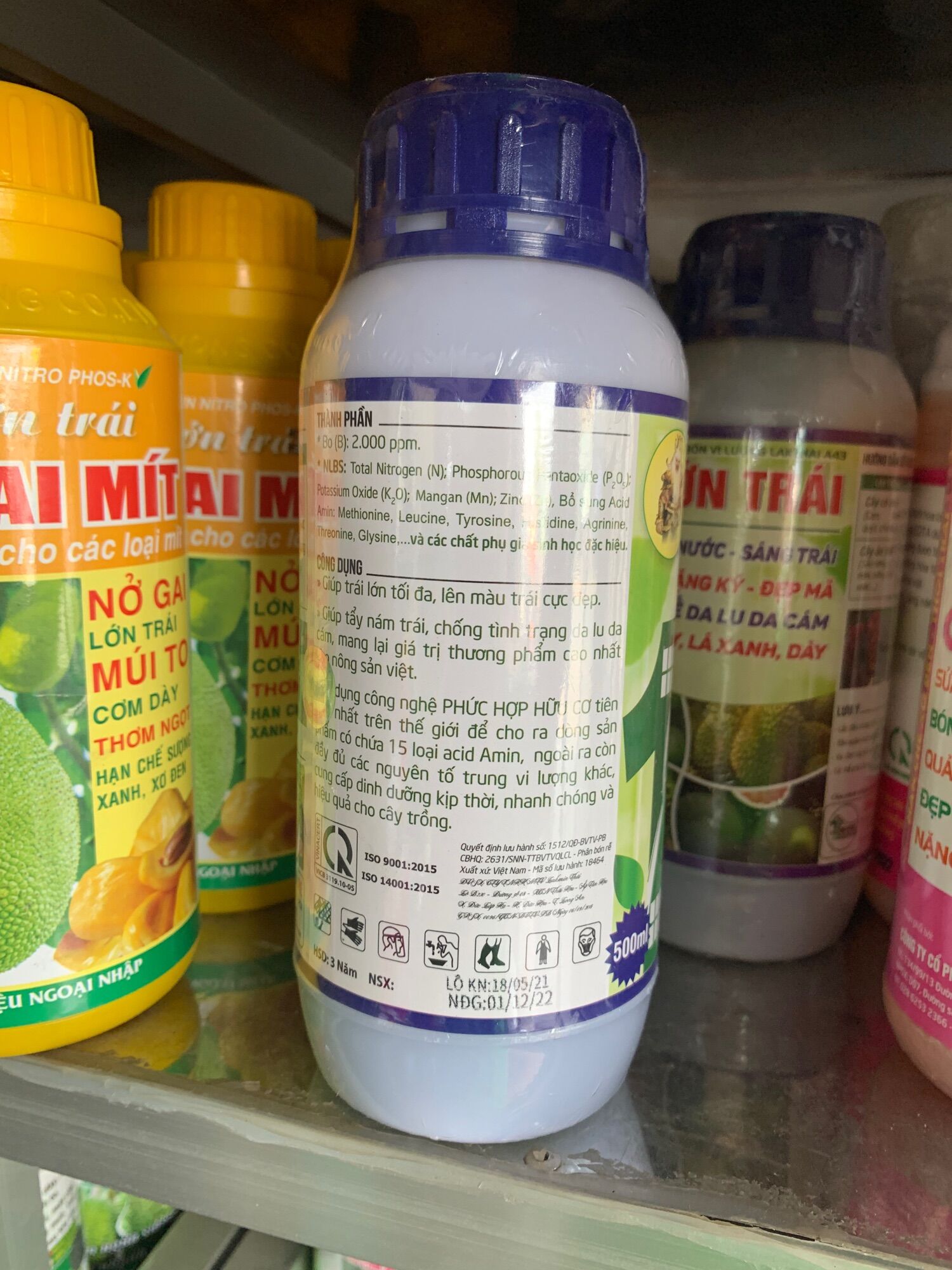 VUA LỚN TRÁI 500ML
