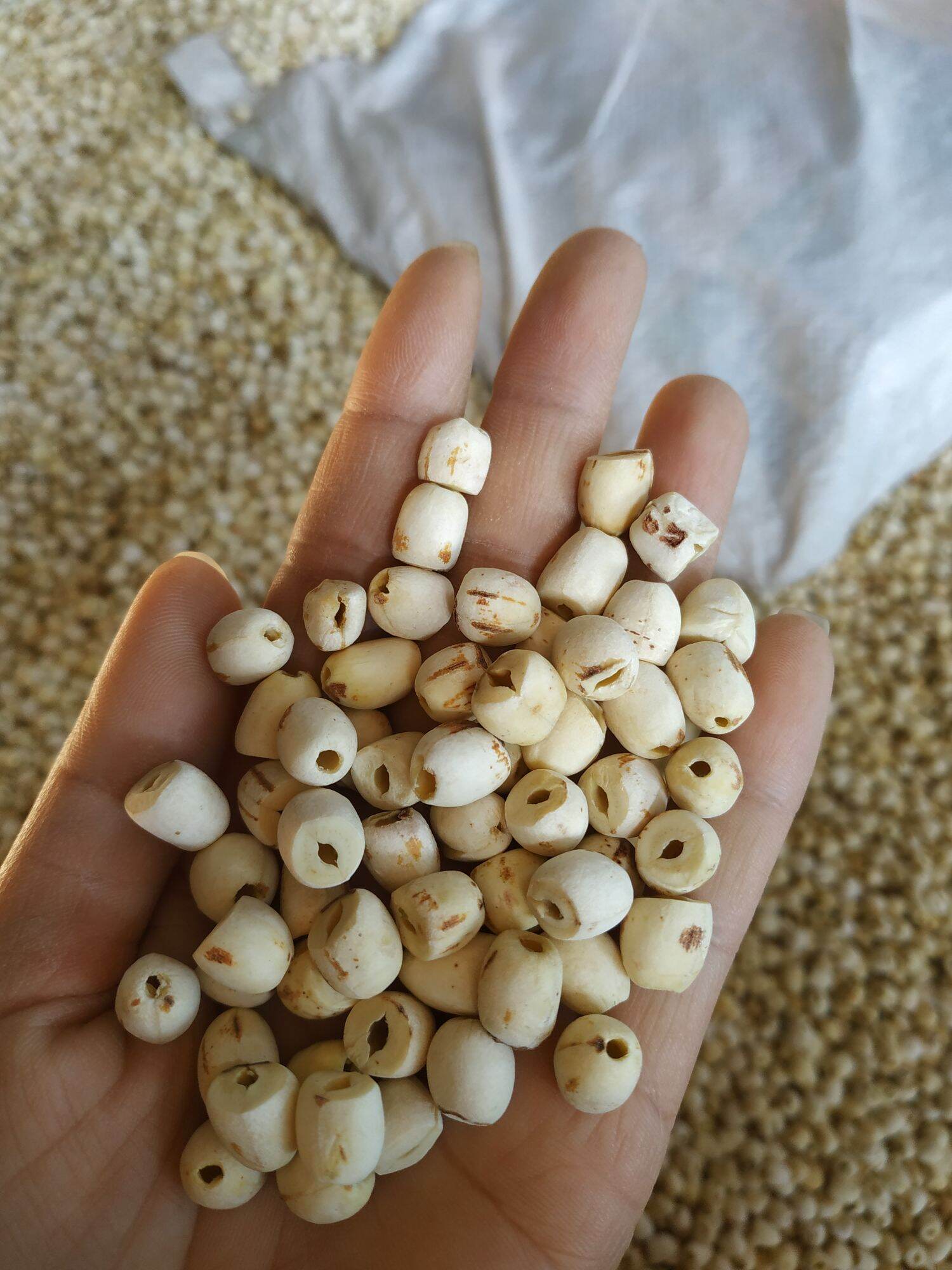 1kg hạt sen khô đã bóc vỏ bỏ tâm