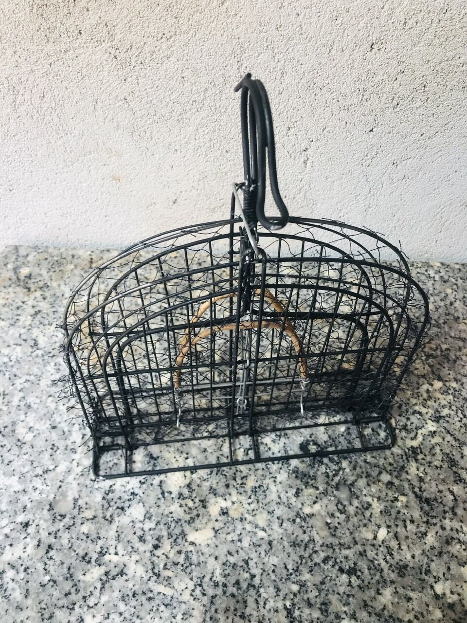 MẸT BẪY CHIM CHÀO MÀO