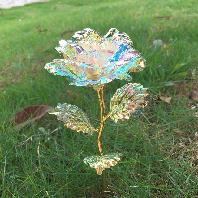 Hoa hồng hologram