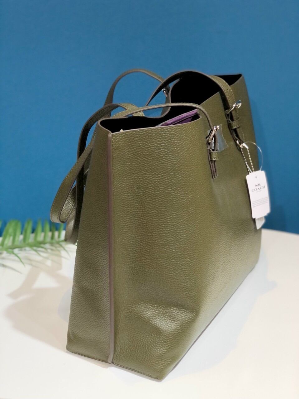 TÚI COA**CH MOLLIE TOTE DA THẬT SANG TRỌNG