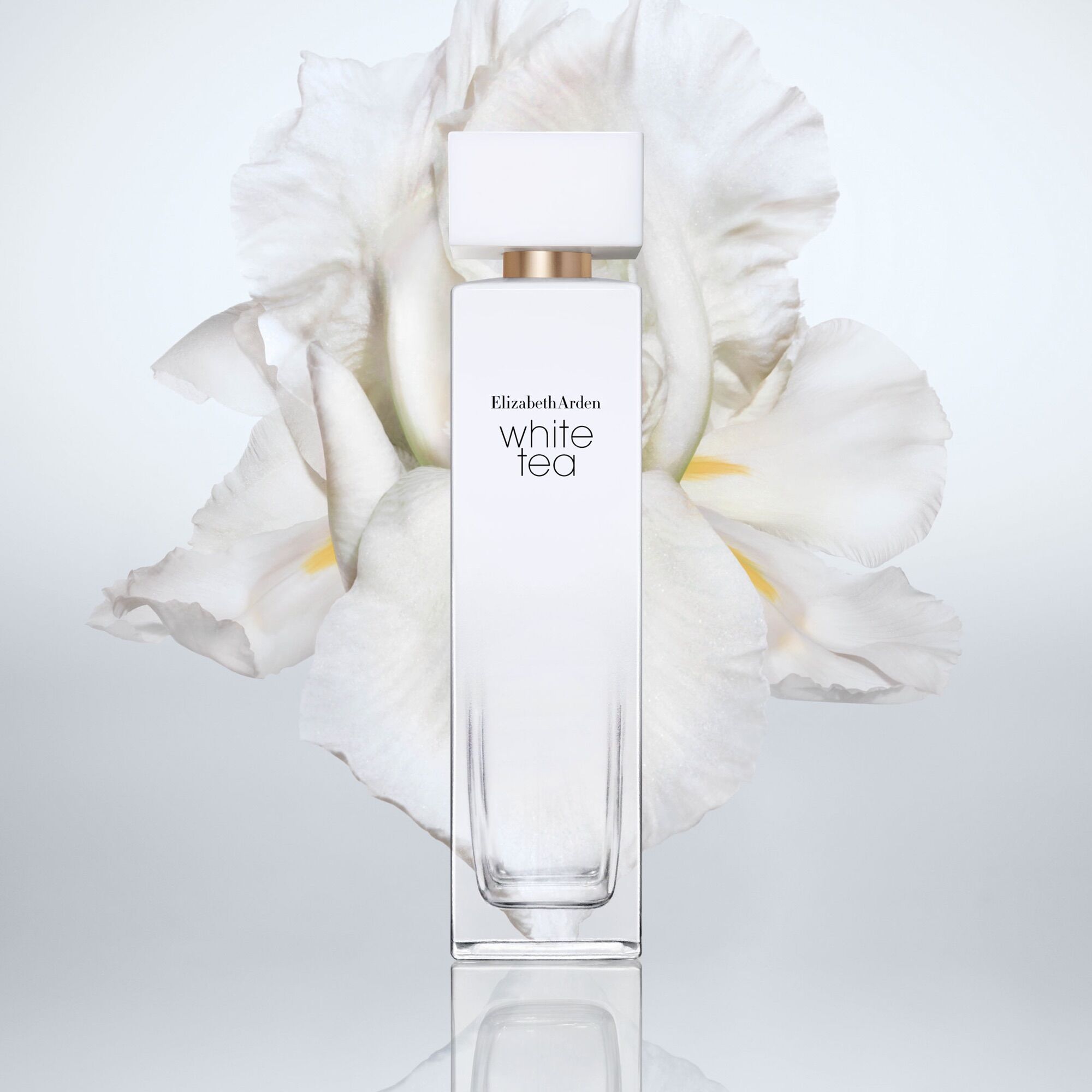 Nước hoa elizabeth arden white tea 100 ml