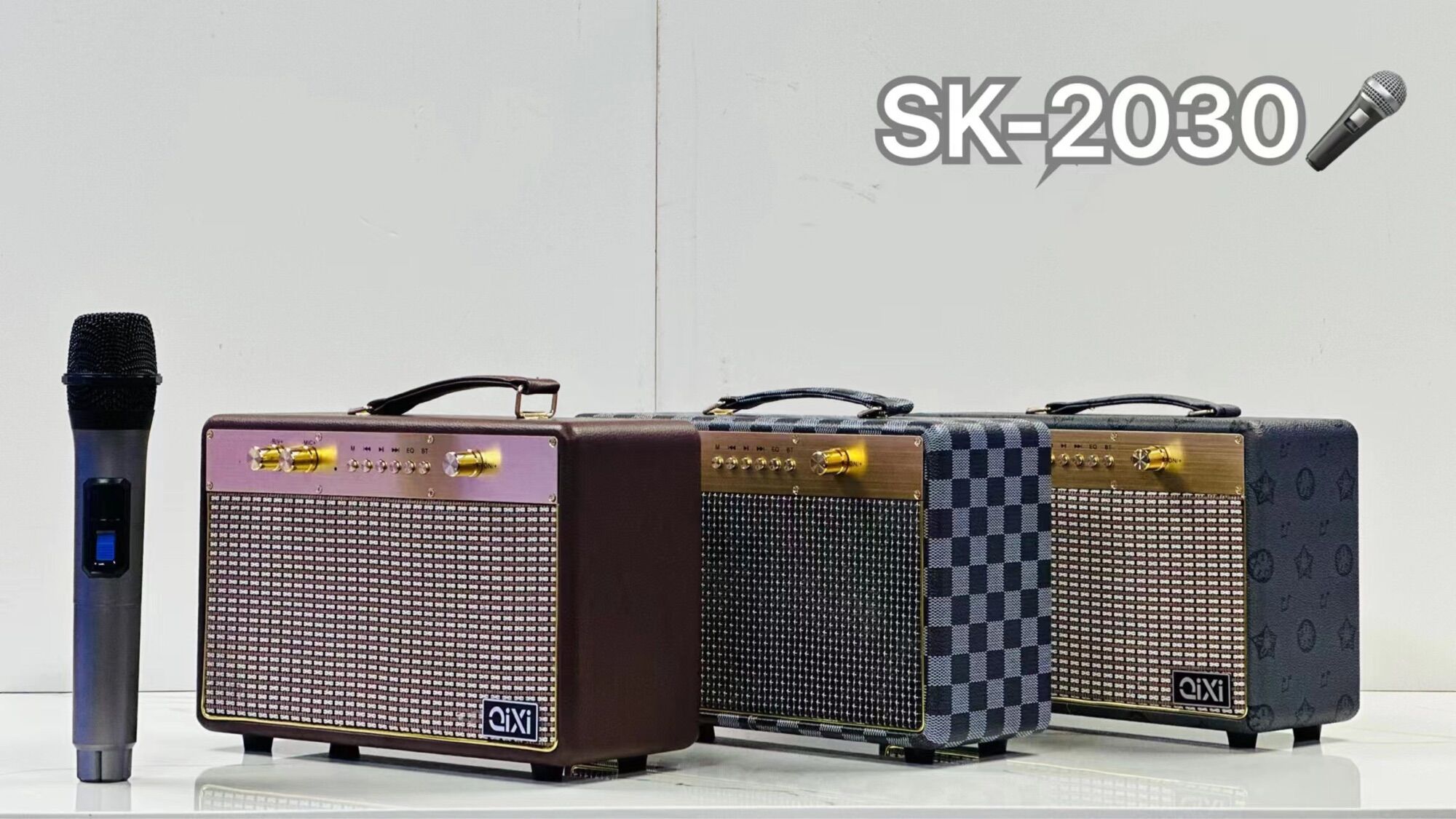 Loa Bluetooth Qixi Sk 2030 kèm 1micro không dây đẳng cấp