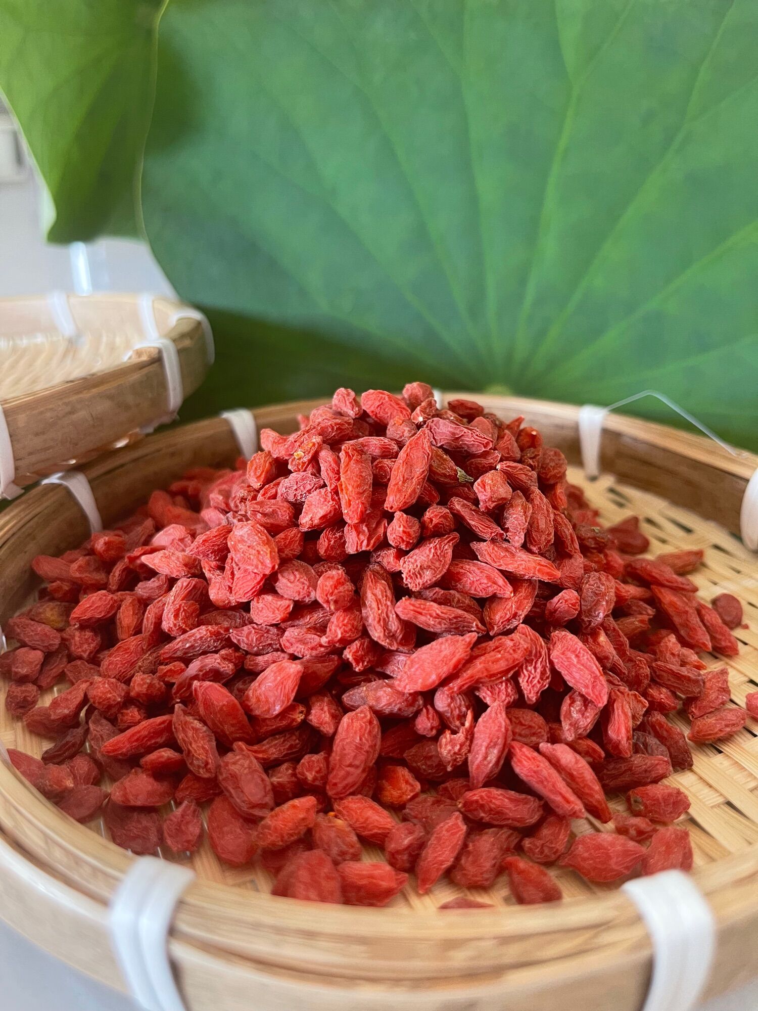 Kỷ tử sấy khô