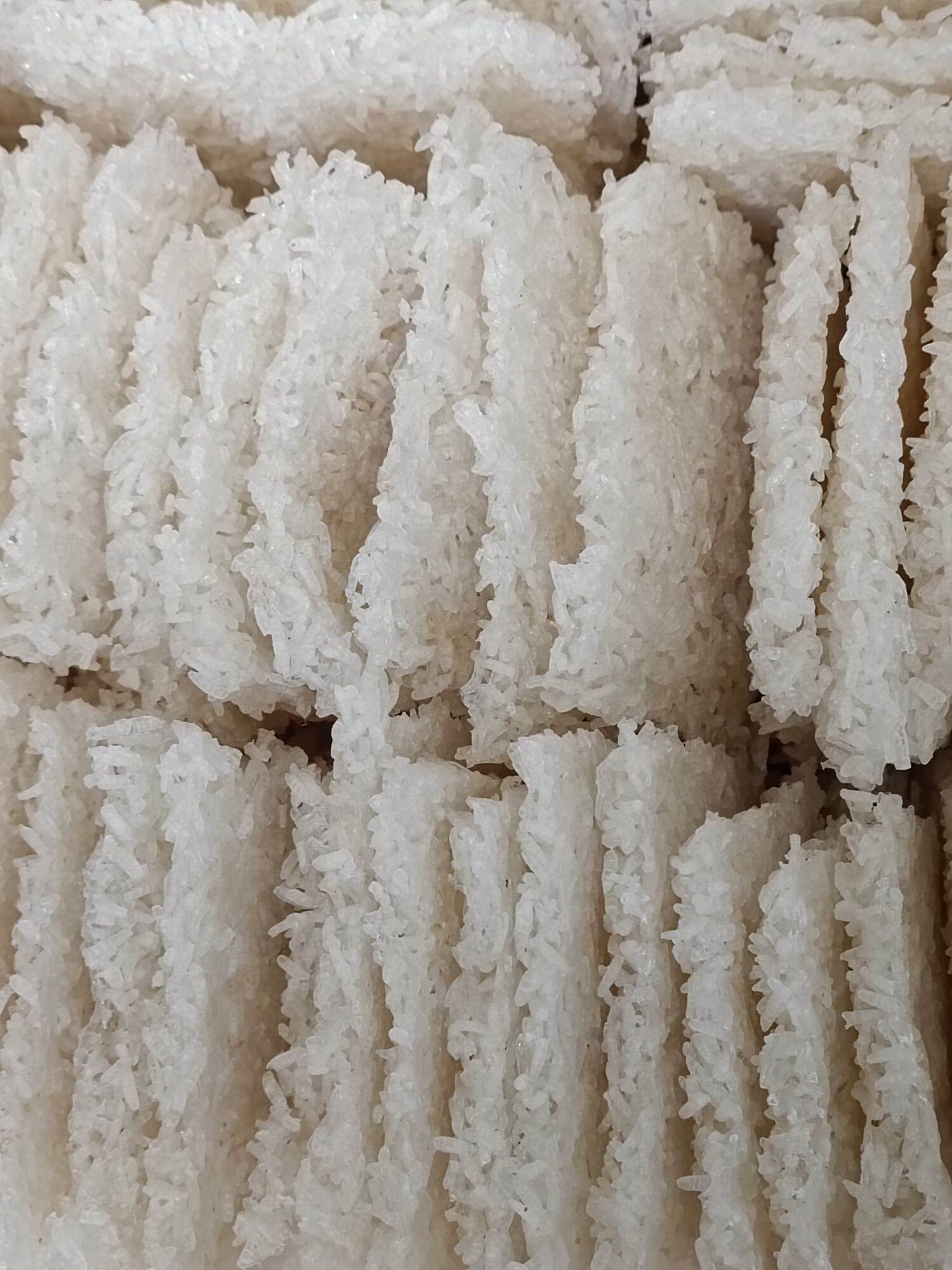 1kg 38 -40 miếng cơm nếp tươi 55k
