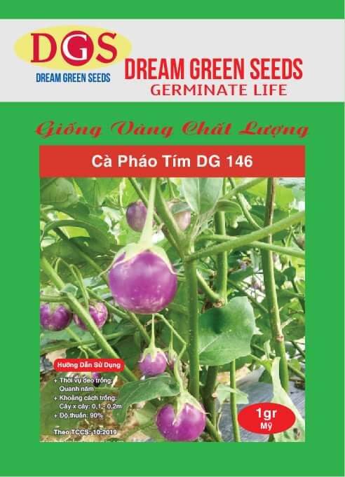 Hạt giống cà pháo tím nhập F1 nhập khẩu Thái Lan chính hãng
