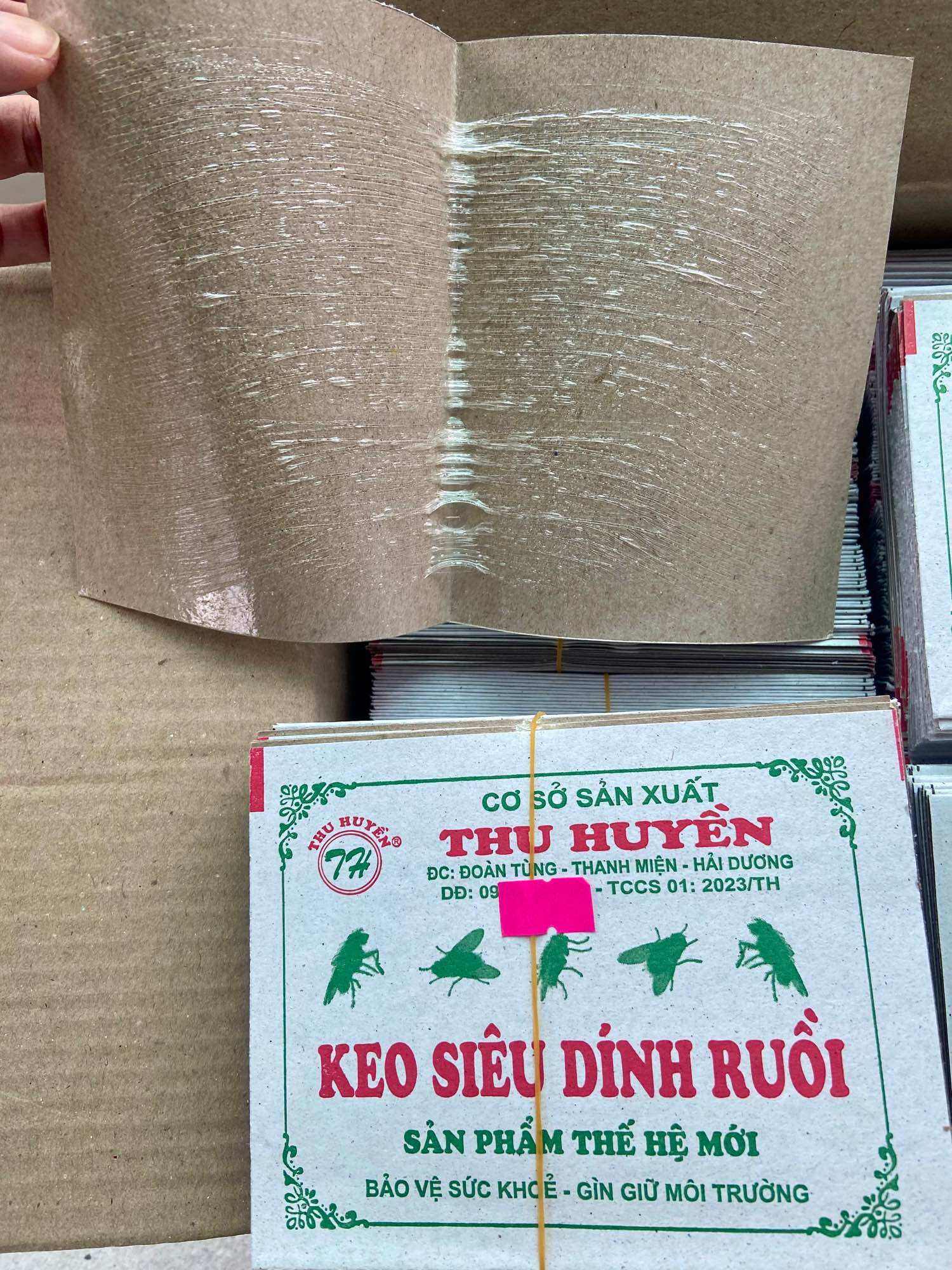 Keo Dính Ruồi - Bó 50 Miếng