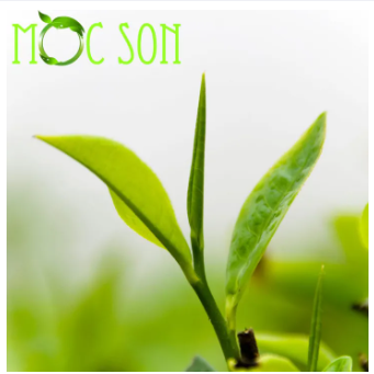 [HCM] 100g Trà Oolong Sữa Thượng Hạng Mộc Sơn