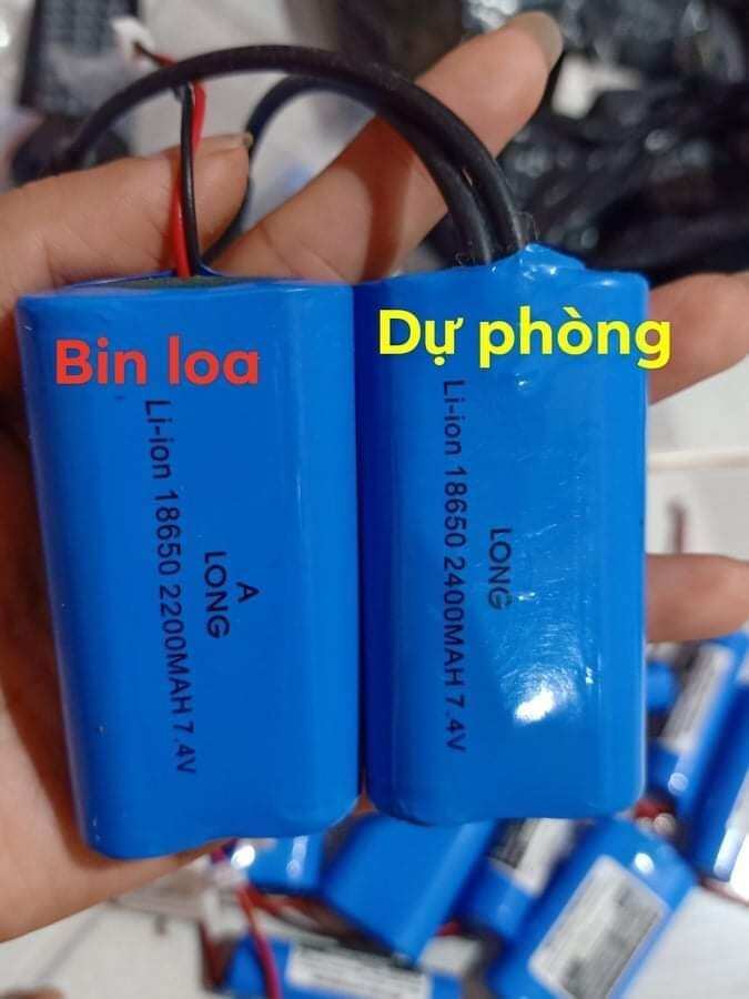 pin loa