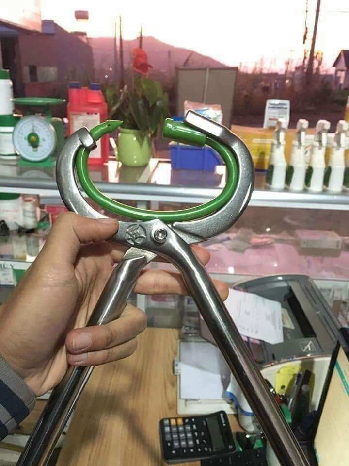 vòng  sỏ mũi châu 1 hộp/5 cái