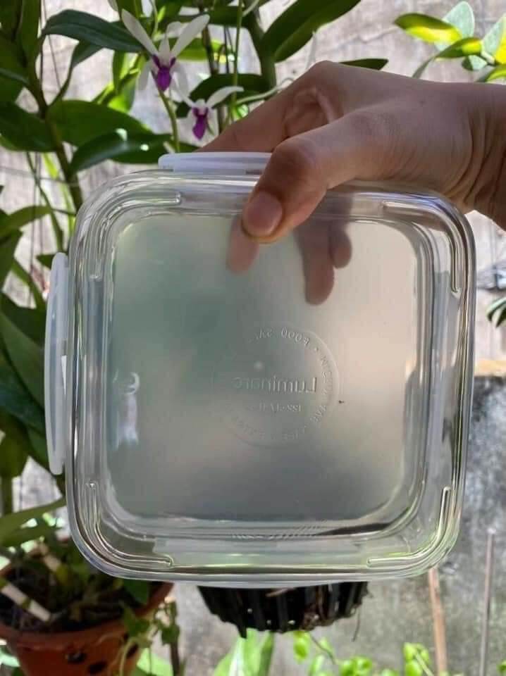 Hộp thủy tinh luminarc 1200ml