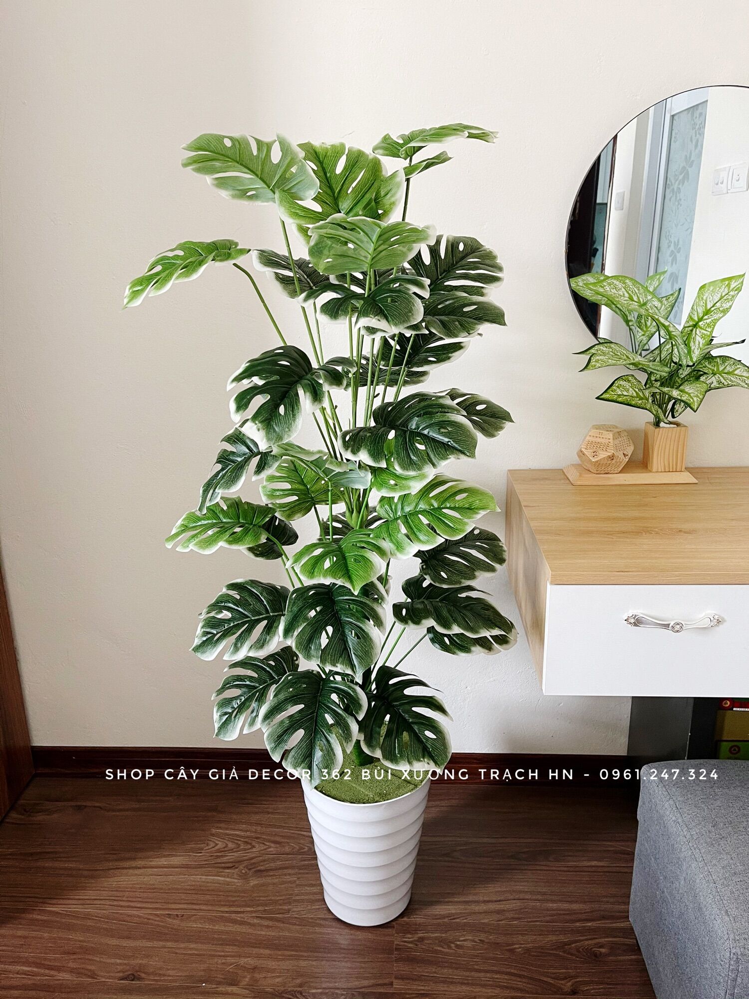Cây trầu bà giả - trầu bà xẻ viền trắng cao m2