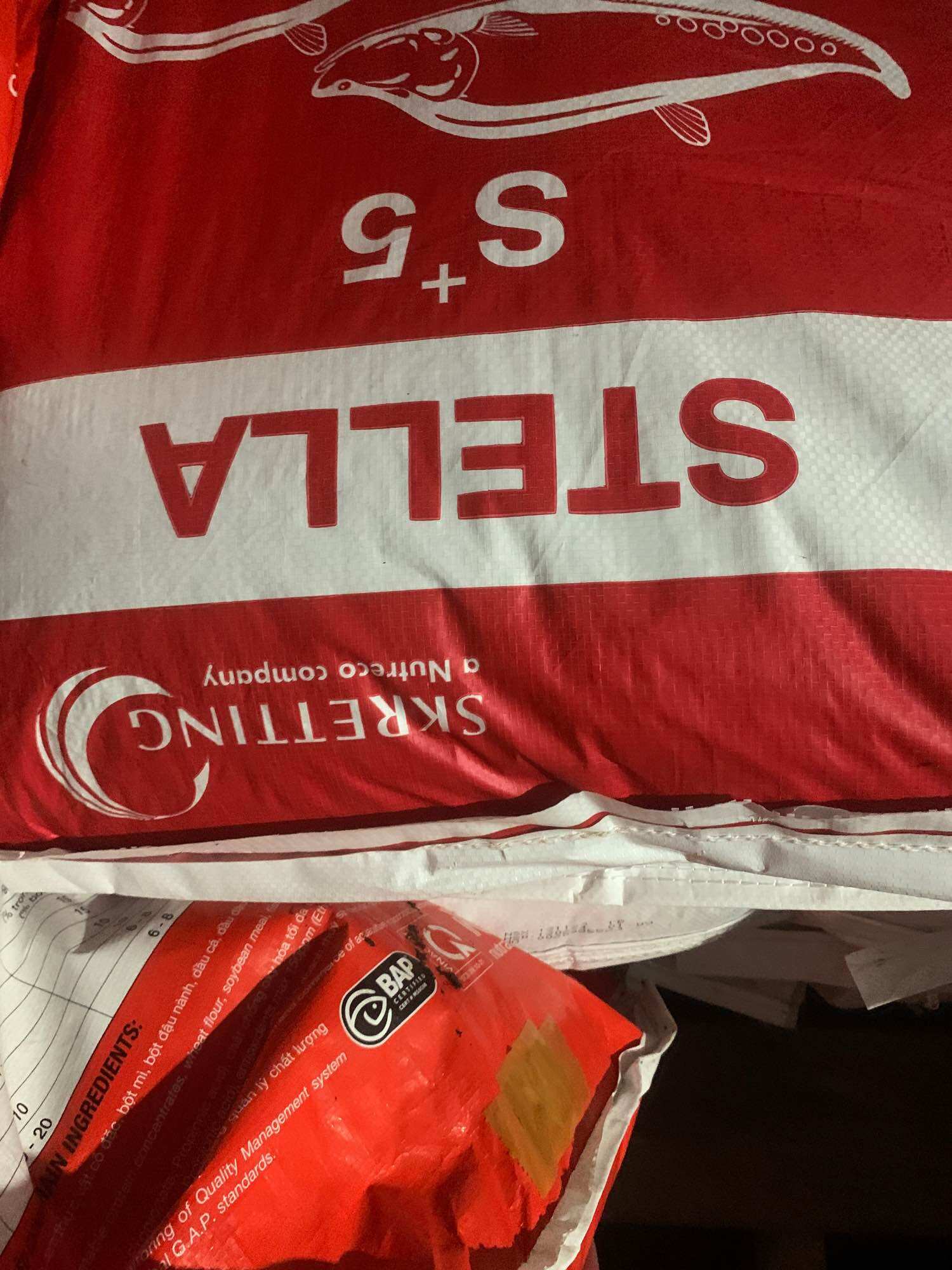 1kg Cám Cá Stella S5