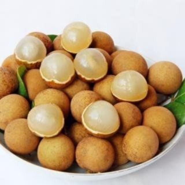 Nhãn xuồng cơm vàng hạt lép Cái Mơn Bến Tre