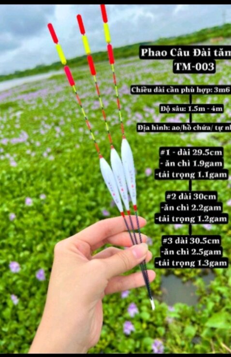 Phao câu đài nano tăm to chuyên chép, rô