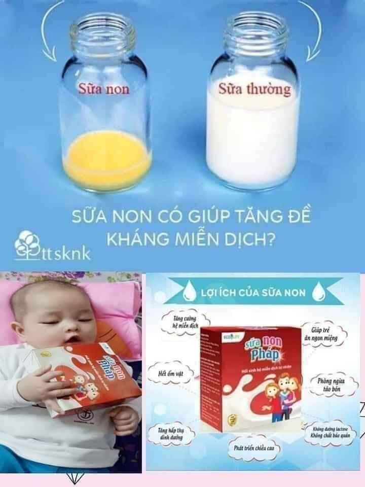 Sữa Non_ dinh dưỡng vàng