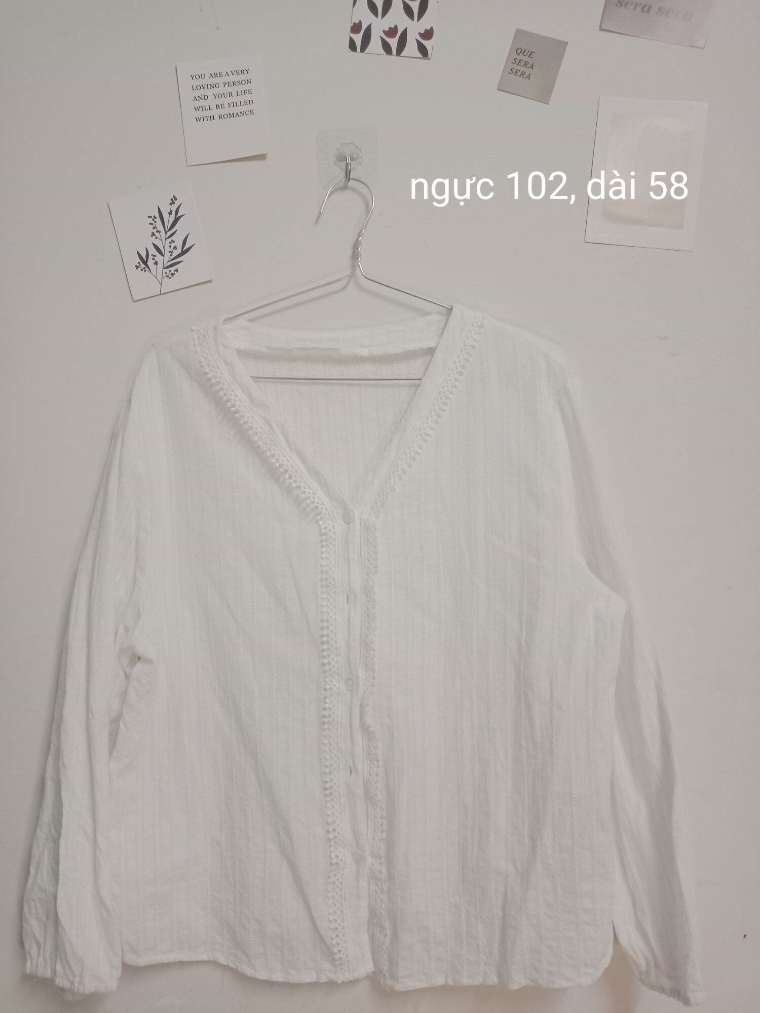 Sơ mi 2hand tuyển chọn