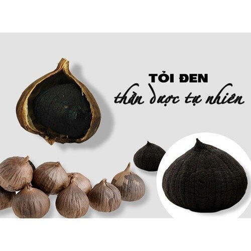 Tỏi đen cô đơn Điện Biên
