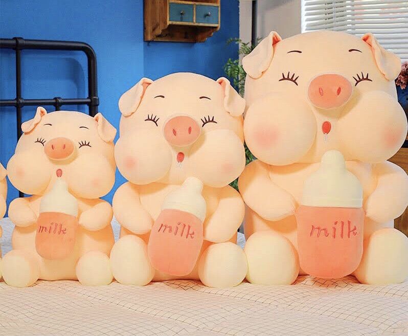 Gấu bông heo ôm bình sữa cao cấp giá sỉ
