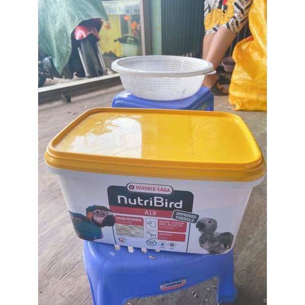 Bột nutri a19 - 1kg date 01/2025.