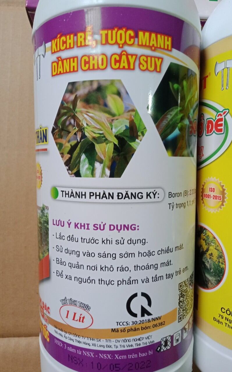 MAX ROOT - BUNG ĐỌT RA RỄ mai vàng