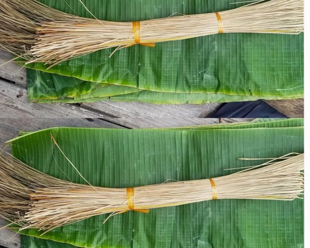 Lá chuối tươi gói bánh