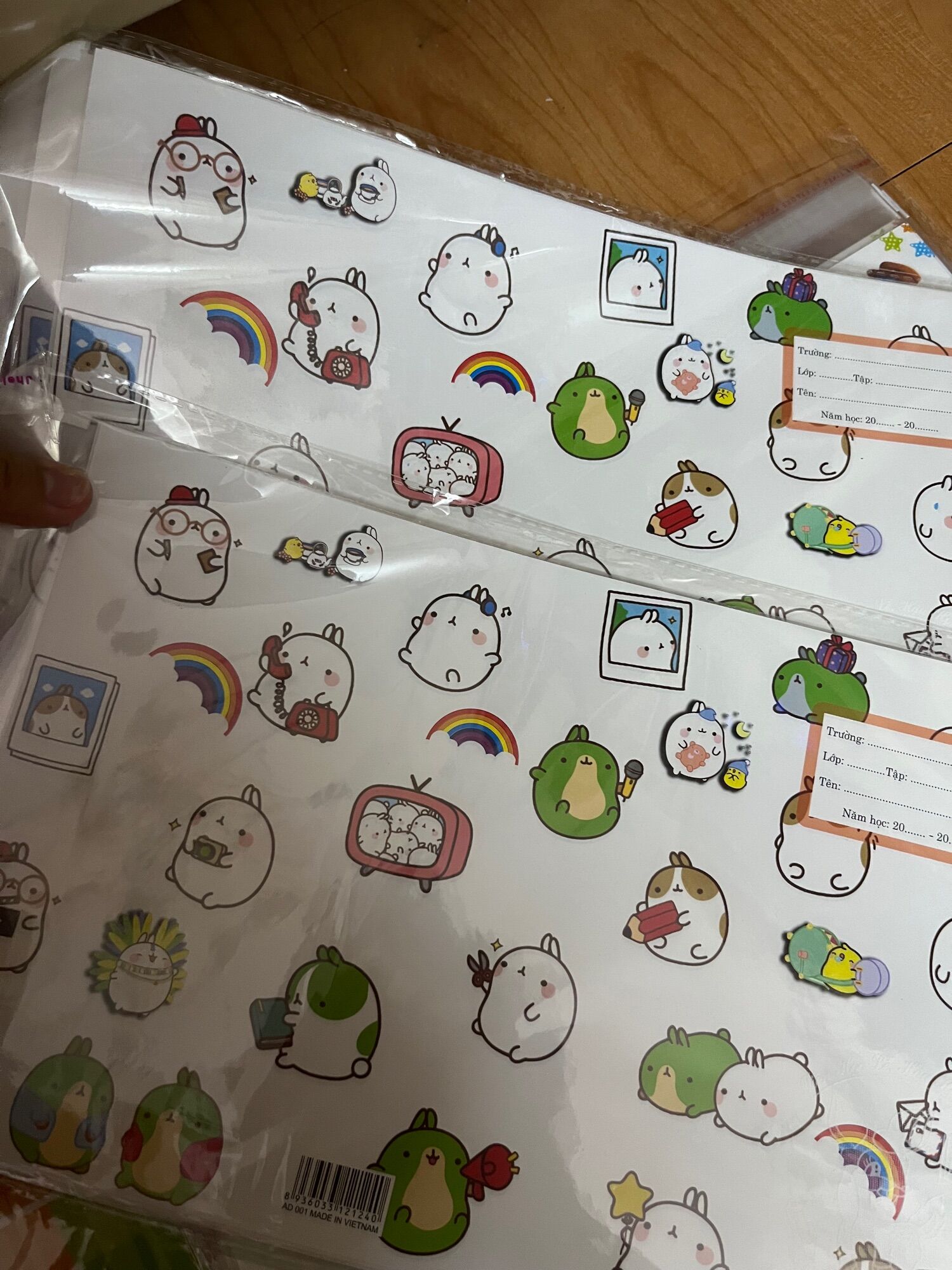 [HCM]Giấy Bao tập hình có lồng kiếng (1 xấp 10 tờ)