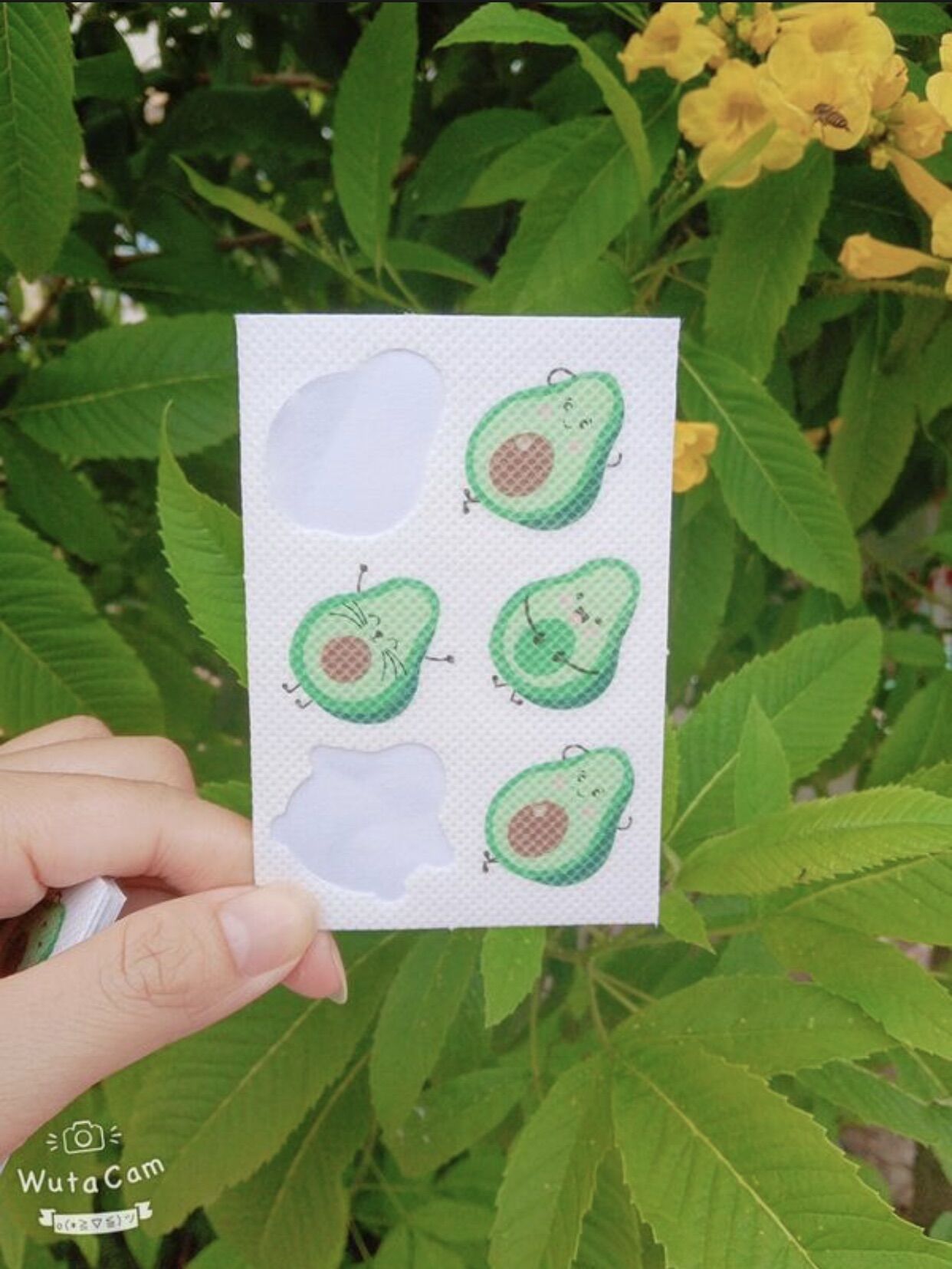 Miếng Dán Chống Muỗi Đốt Hình Trái Bơ Cute Dễ Thương