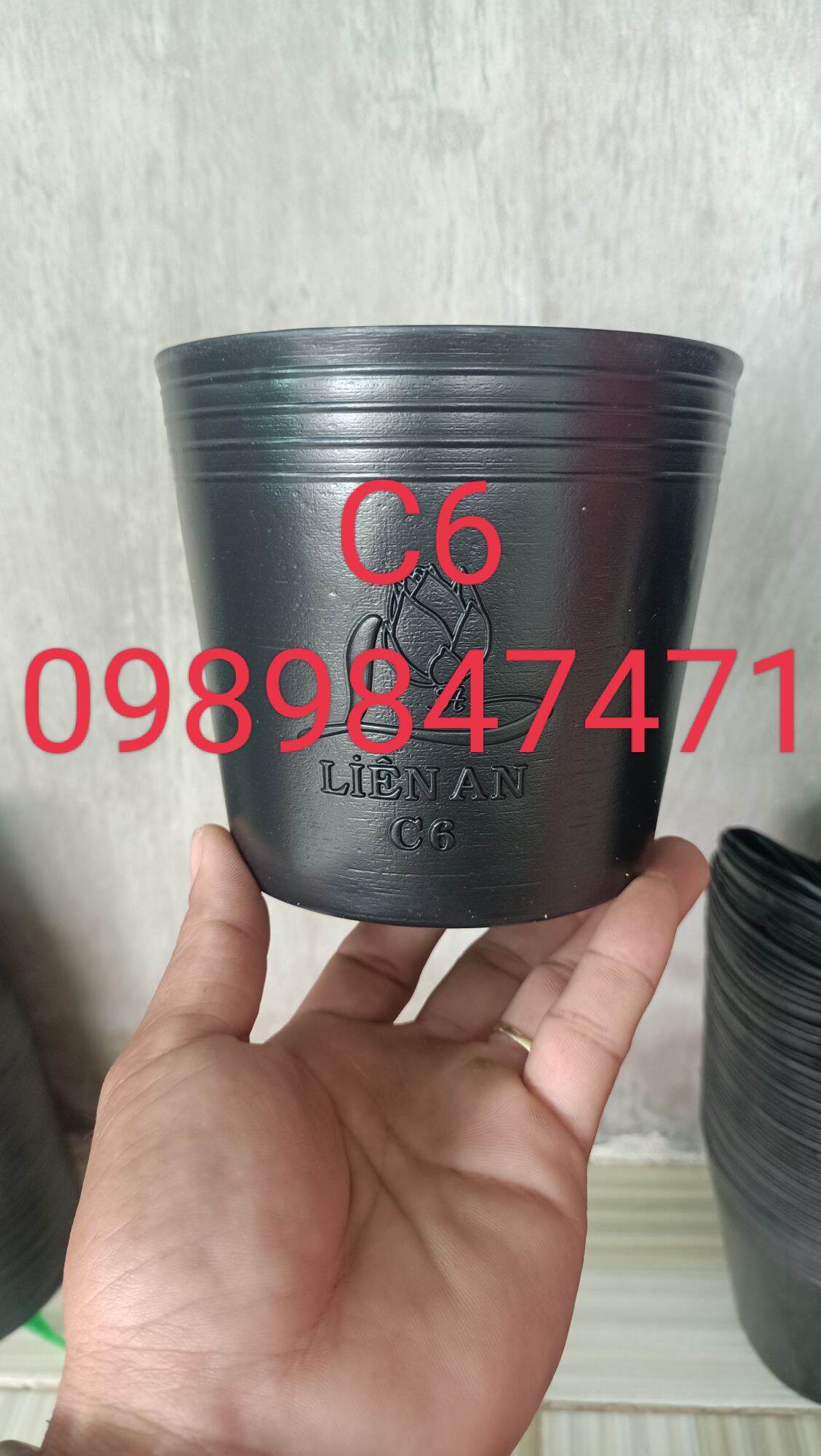 Chậu nhựa chất lượng C6 combo 200 cái